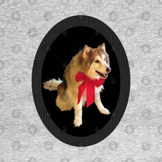 Cute Happy Wolf Dog With Red Bow Smiling - Carbon Fiber Frame by CDC Gold Designs